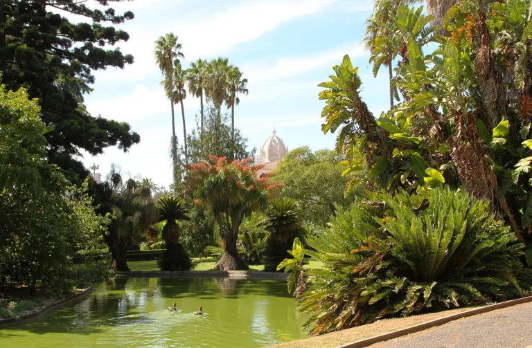 Jardim Botânico Tropical