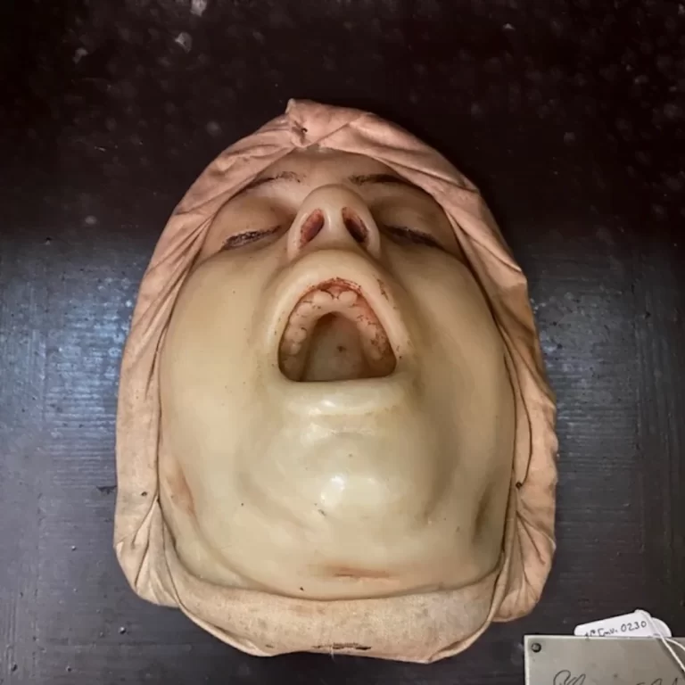 Visita Guiada A Cidade e a doença